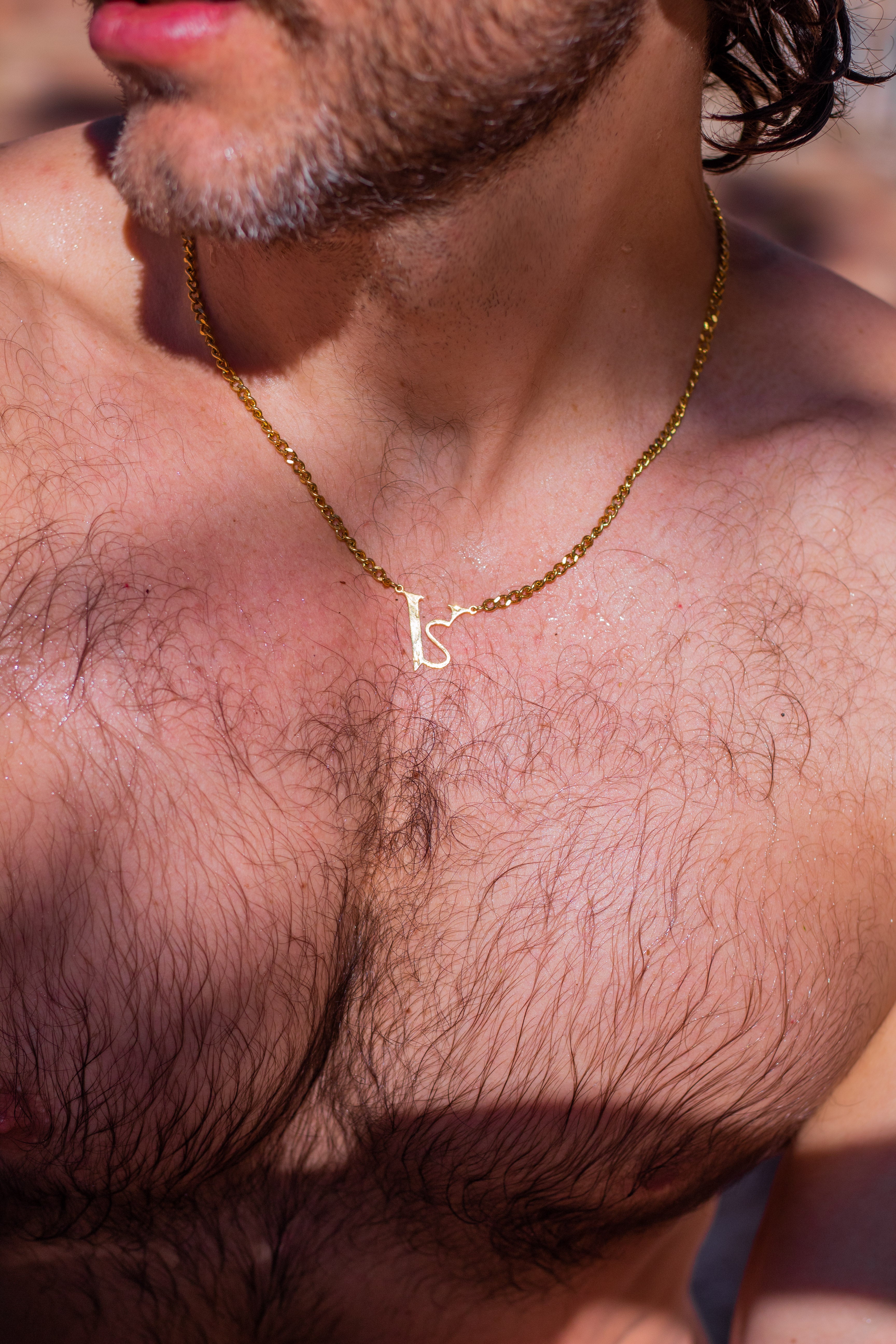 VS Monogram Necklace